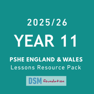 Year 11 PSHE lessons resource pack