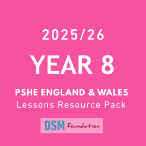 Year 8 PSHE lessons resource pack